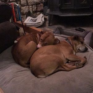 Meet your Posher, Brad